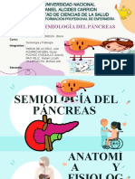 Semiologia Del Pancreas