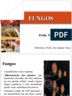 FUNGOS