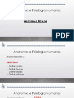 Anatomia Fisiologia4