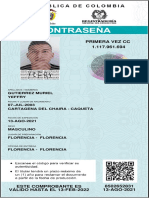 Comprobante de Documento en Trámite 1117961694