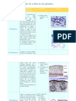 Tejidos Vegetales de Las Plantas Vasculares