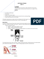 Unit 4 Notes