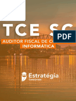 E Book Auditor Informatica TCE SC 1