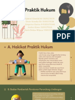 Praktik Hukum 