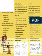 Nifas leaflet patologis