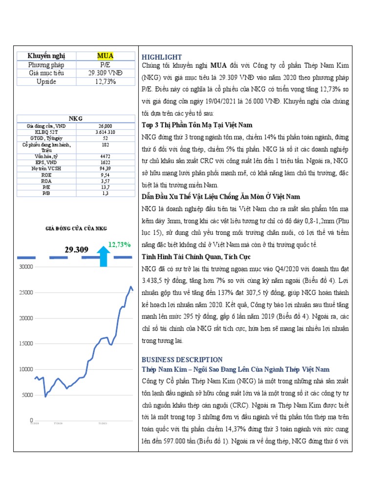 NKG Report Final | PDF