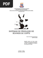 Download Sistemas Producao Gado Corte by antoniteo SN53966246 doc pdf