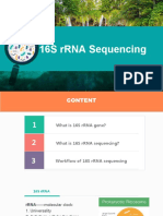 16s RNA, 18s RNA