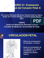 Seminario 31 - Evaluacion Funcional Del Corazon Fetal A - Archivo