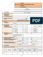 Resumen Ejecutivo 20201229 202343 134