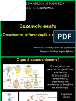 Auladesenvolvimento 130903144401