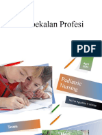 Pembekalan Profesi