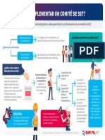 Como Implementar Un Cmite Sst