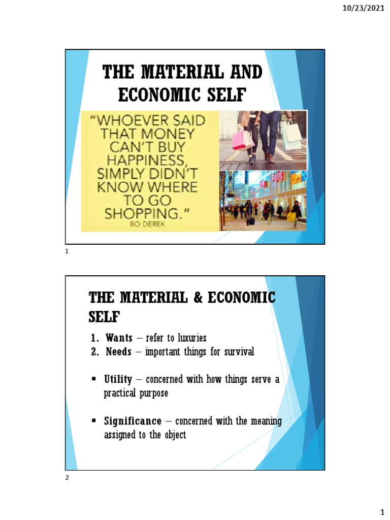 The Material and Economic Self Download Free PDF Consumerism