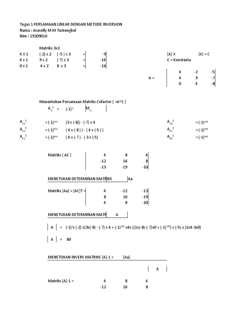 Aracelly T. (19209016) Matriks 3x3 | PDF