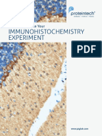 Proteintech Ihc Protocol Guide