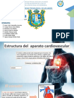 Estructura Del Aparato Cardiovascular