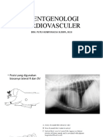 Roentgenologi Cardiovasculer