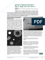 Imaging Diagnosis of Gastrointestinal Foreign Bodies in Dogs and Cats: Part 2