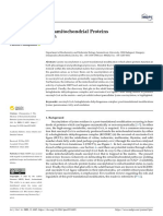 The Mystery of Extramitochondrial Proteins Lysine Succinylation