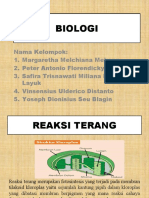 Reaksi Terang