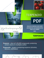 Terpen Steroid - 2021