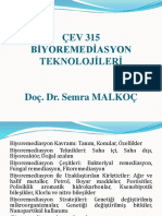 Bi̇yoremedi̇asyon-1 Vi̇ze