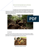 A importância da decomposição para as florestas