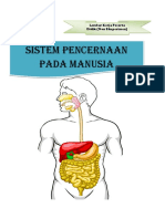 Tugas 2 Organ-Organ Sistem Pencernaan Makanan