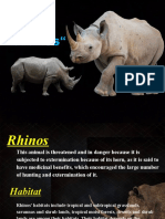 Rhino