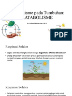 Metabolisme Tumbuhan