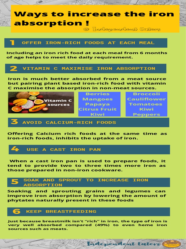 Ways To Increase Iron Absorption BLW PDF