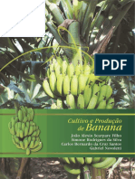 Cultivo de Banana Esalq