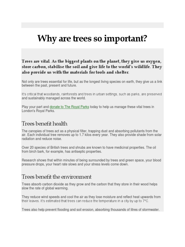 Why Are Trees So Important PDF Trees Atmosphere Of Earth