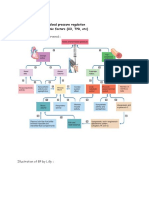 Mekanisme Dari Blood Pressure Regulation 1. Hemodynamic Factors (CO, TPR, Etc)