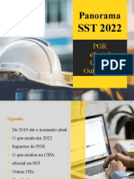 Panorama SST 2022_ PGR, eSocial, CIPA e Outras NRs