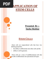 Application of Stem Cells