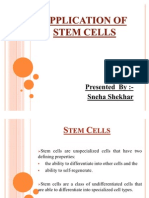 Application of Stem Cells