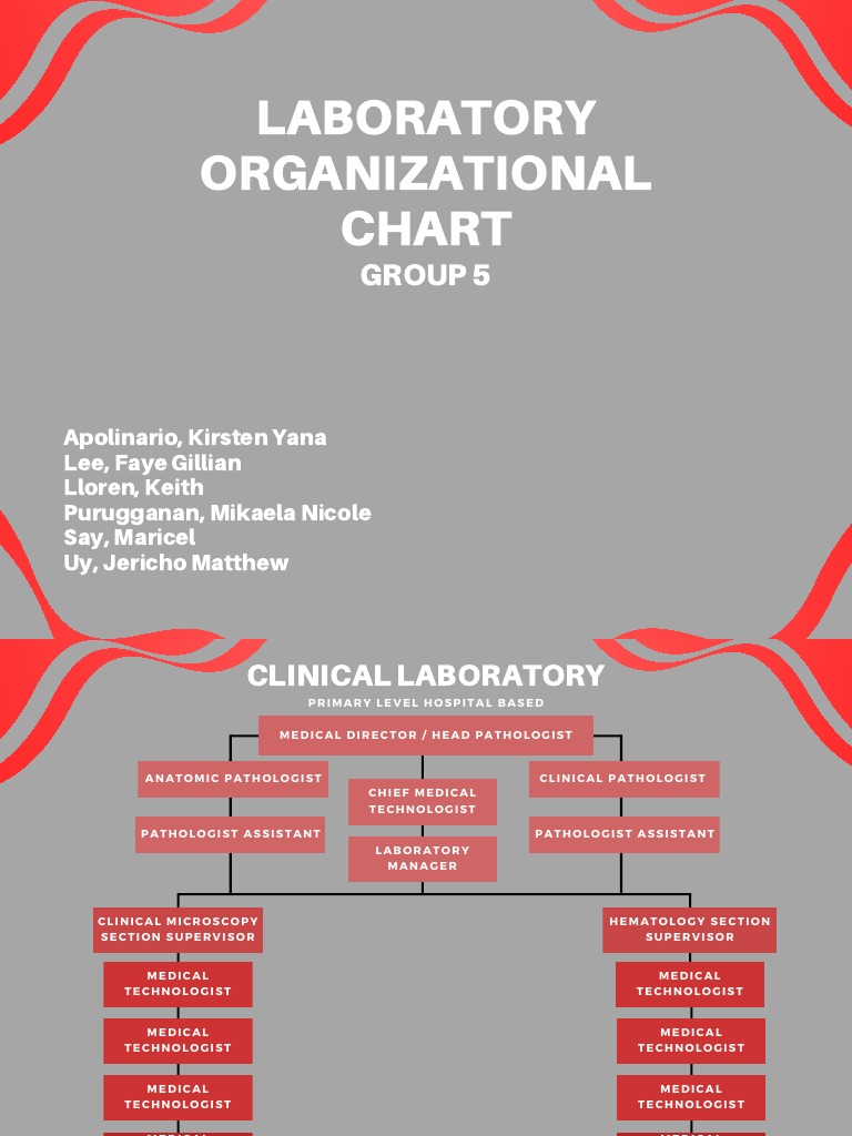 Laboratory Organizational Chart Group 5 PDF