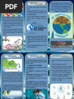 Tríptico sobre el Cuidado del Agua | PDF | Riego | Agua