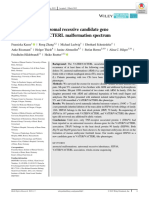 HSPA6: A New Autosomal Recessive Candidate Gene For The VATER/VACTERL Malformation Spectrum