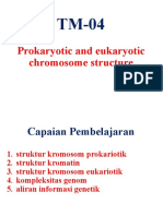 TM-04 Prokaryotic and Eukaryotic Chromosome Structure (2015)