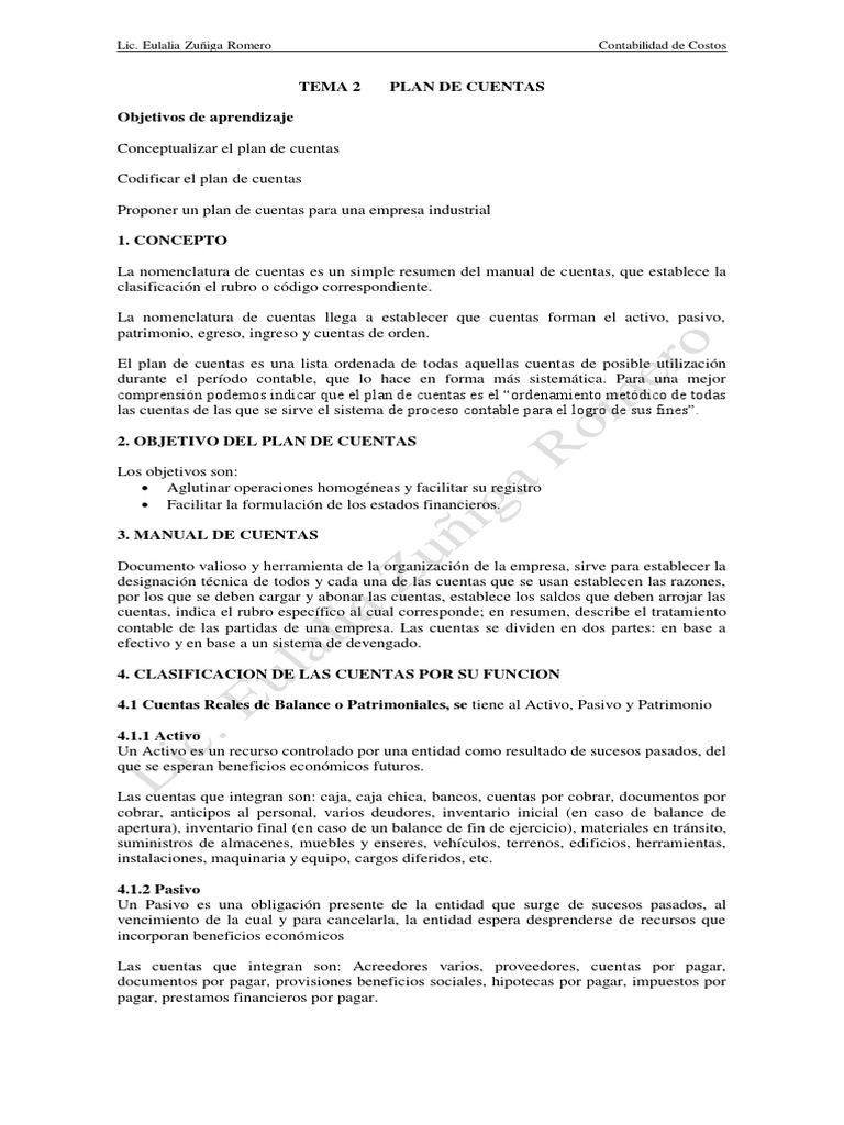Tema 2 Plan de Cuentas | PDF | Contabilidad | Costo