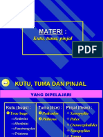 Kutu, Tuma Pinjalunprinted