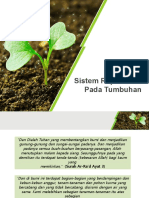 Sistem Reproduksi Pada Tanaman