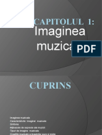 Imaginea Muzicala