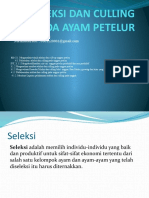 DEDI KUSMANA Seleksi Dan Culling Pada Ayam Petelur