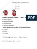 Evaluare Inițială Clasa 7