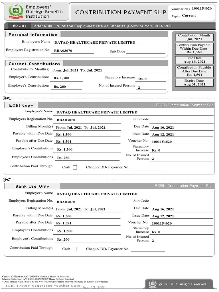 EOBI Contribution Payment Details | PDF | Financial Services | Health Care