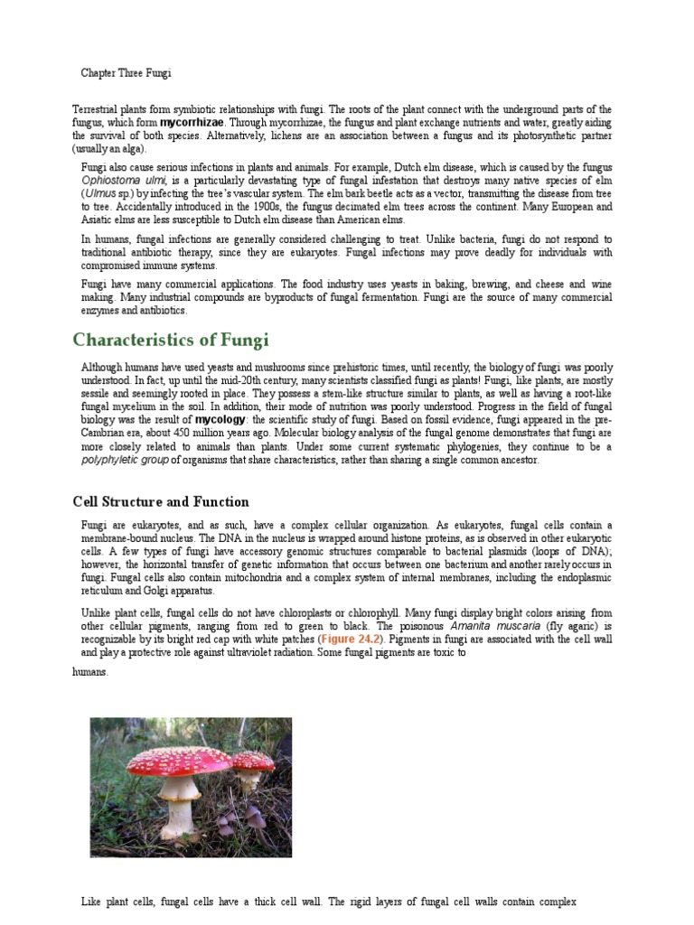Characteristics of Fungi: Cell Structure and Function | Download Free ...